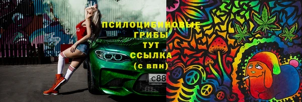 таблы Инсар