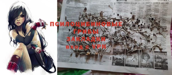 альфа пвп Инта